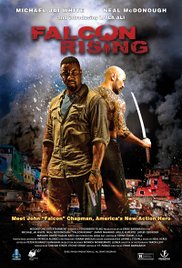 Falcon Rising (2013)