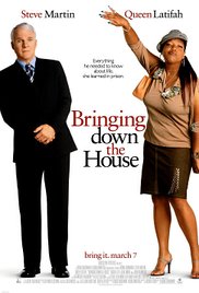 Bringing Down the House (2003)