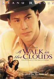 A Walk in the Clouds (1995)